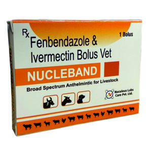 NUCLEBAND