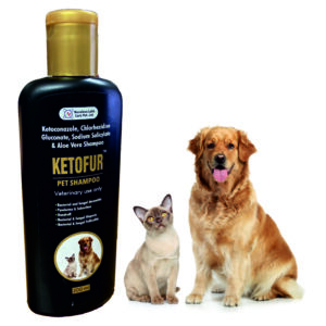 Ketofur - Dog Shampoo