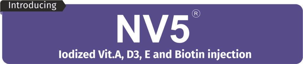 Logo_NV5