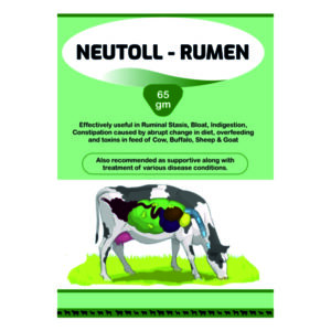 Neutoll - Rumen